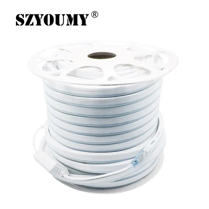 cheap 220V 12V RGB LED Neon Strip Light 80Led m 5050 Waterproof Flexible Led Rope 10m 20m 30m 50m for Indoor Outdoor + Power Plug