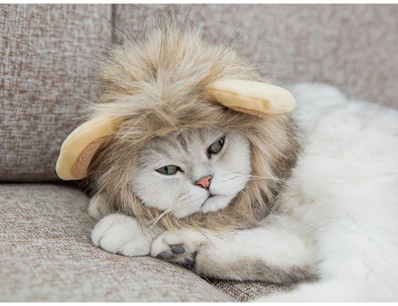[MPK Store] Лев с гривой Кот головной убор, головной убор с ушками для кошек, Доступно 3 размера, превратите вашу кошечку в льва