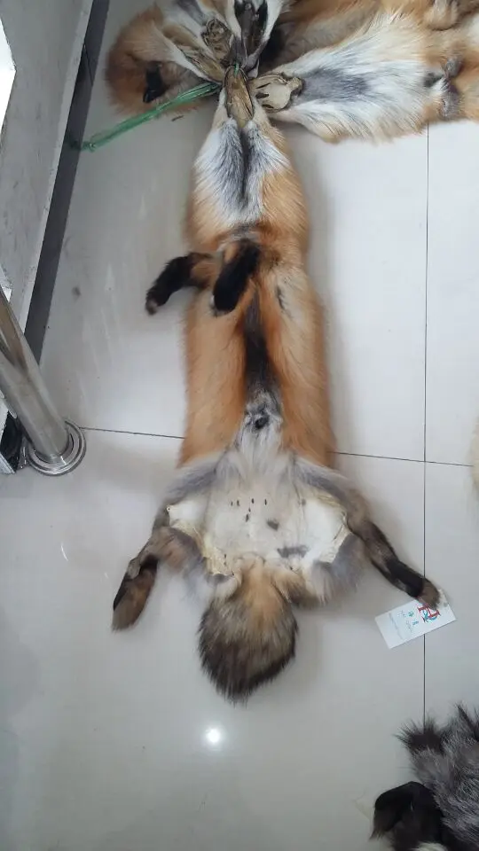 Шкура из красного лисьего меха натуральный красный меха|fur skin|fox fur skinfox pelts |