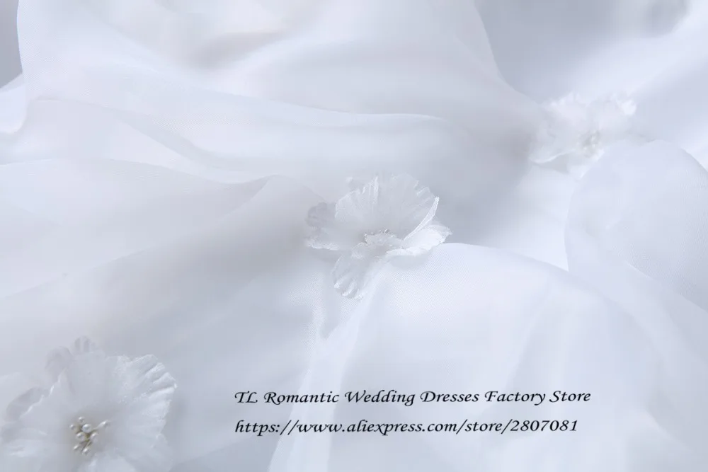 HTB19W5DSpXXXXbwXXXXq6xXFXXXQ