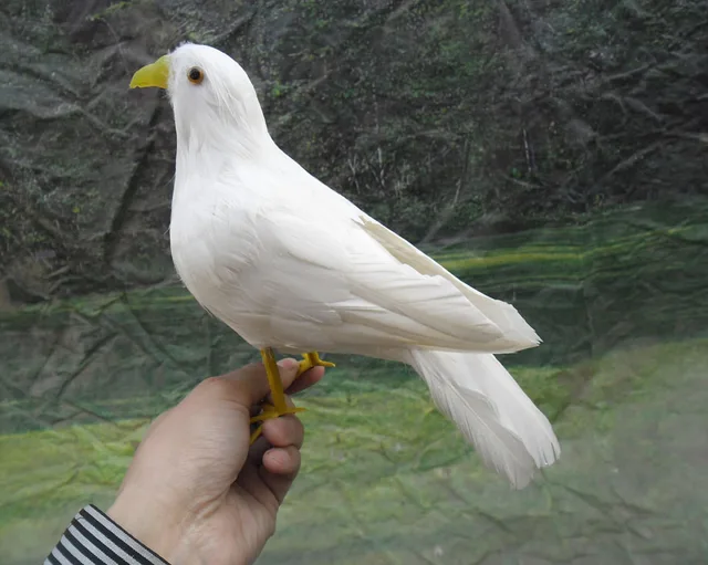 simulation white dove toy about 25cm feathers bird of peace, plastic