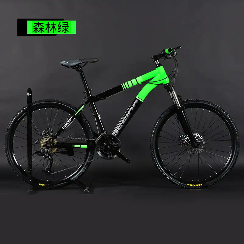 dual fork mountain bike