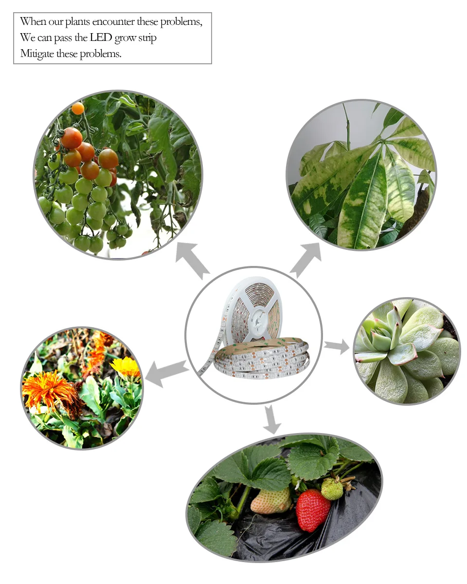 LED Strip light grow light (8)