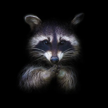 

custom print square fabric poster raccoon close-up photo PJZK237 for wall art room decor home decoration (frame available)