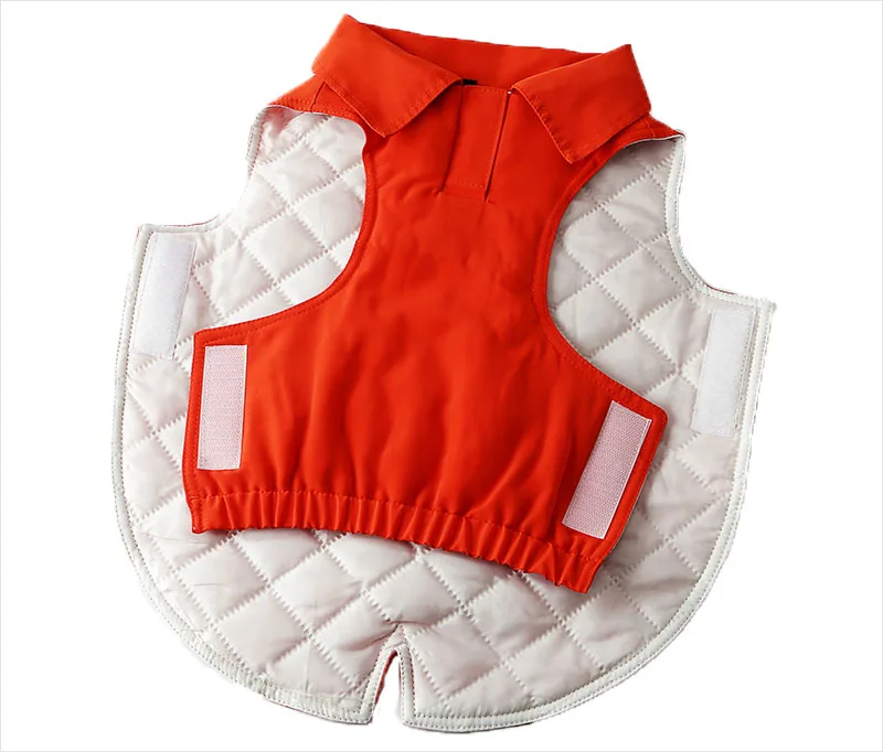 winter dog clothes