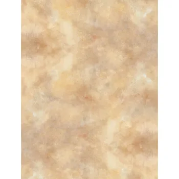 

TR Solid Light Brown Photo Background Backdrop Newborn 5X7 Professional Vinyl Backdrops for Photography Digital Backgrounds