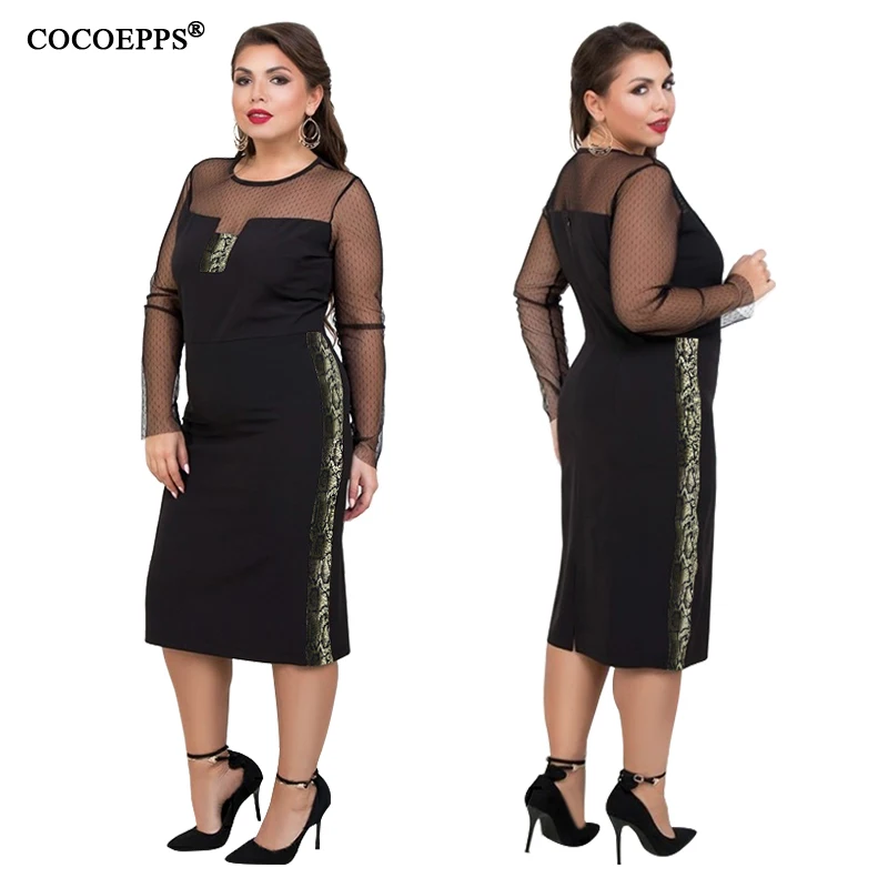 COCOEPPS  5