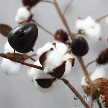 1 шт. Натуральные сушеные цветы ветка хлопка с металлической проволокой украшение стола для дома подарок на фестиваль F522