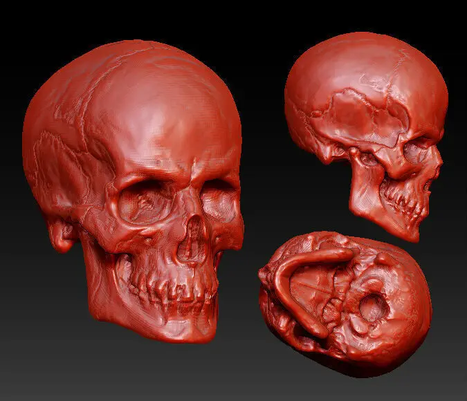 

3D model for cnc machine in STL format 4 axis relief/computer sculpture The skeleton