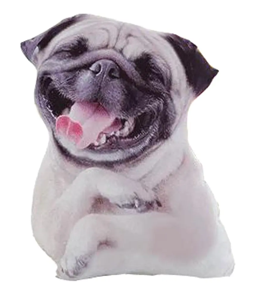 

CAMMITEVER 3D Funny Dog Tiger Plush Toy Pillow Cushion Decorative Cushions For Sofa Girls Children Home Decor
