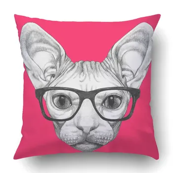 

Throw Pillow Case for Bedroom Couch Home Portrait of Sphynx Cat with glasses Square Inches Funny Cat
