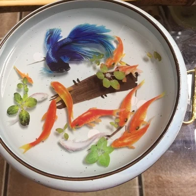 O1CN018KId0q1EfAC27T4tz_!!0-rate.jpg_.webp_400x400