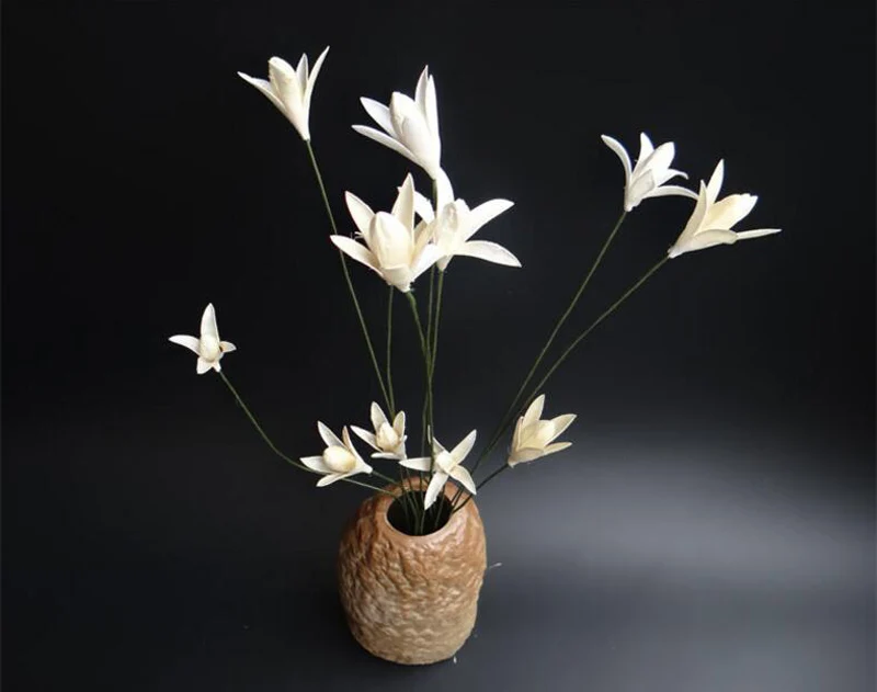 Buy 20pcs Natural Dried White Magnolia Flowers with