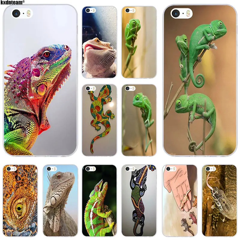 

Soft TPU Silicon Mobile Phone Cases Cool Best Bearded Dragons for iPhone 6 6S 7 8 Plus X 4 4S 5 5S 5C SE Coque Shell Bags
