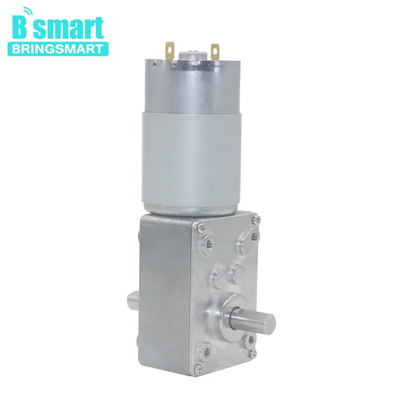 Bringsmart A58SW-555S 6- 24V Worm Gear Motor 12V Double Shaft Rversible High Torque Door Lock Self-locking Intelligent Device