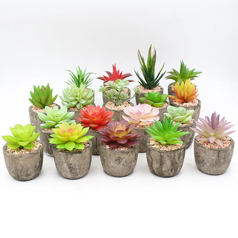 

creative pulp basin simulation succulent plant small bonsai desktop simulation flower pendulum
