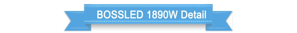 1890W