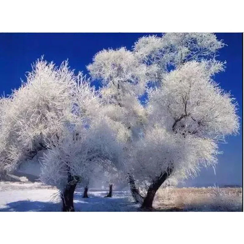 5d round/square drill Beautiful Snow Winter Landscape Diamond Paintings Embroidery icon Rhinestone Mosaic Picture v1673 | Дом и сад