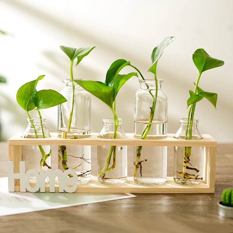 

Glass Hydroponic Bottle Transparent Flower Vase with Wooden Frame Support Tabletop Creative Home Garden Coffee Shop Room Decor