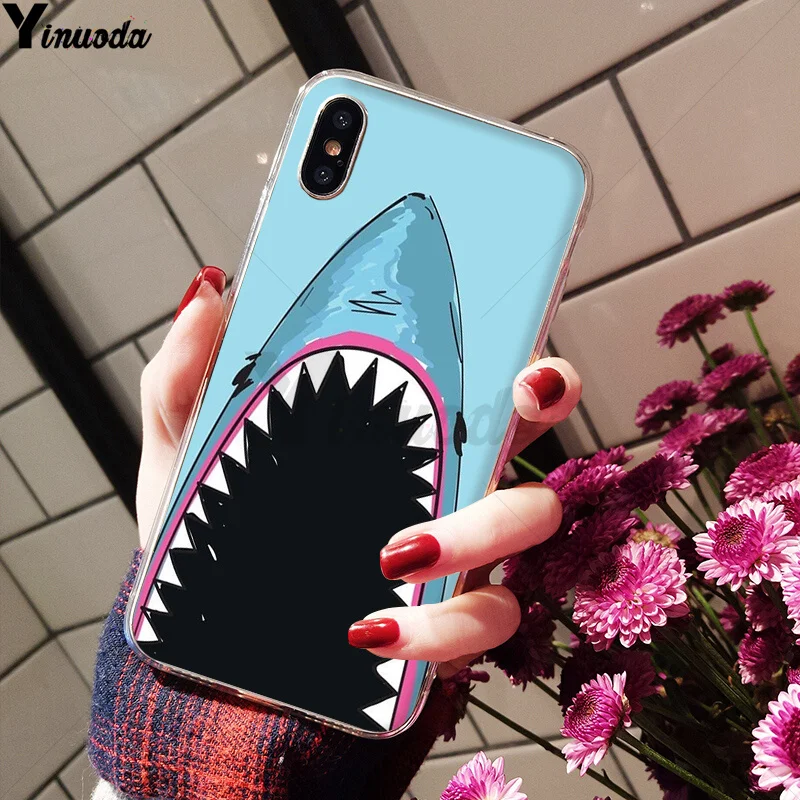 shark Sea fish dolphin