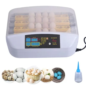

Digital 32 Eggs Incubator Breeding Machine Fully Automatic Brooder Hybrid