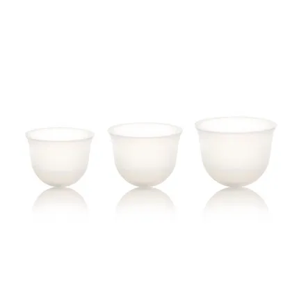 S1
