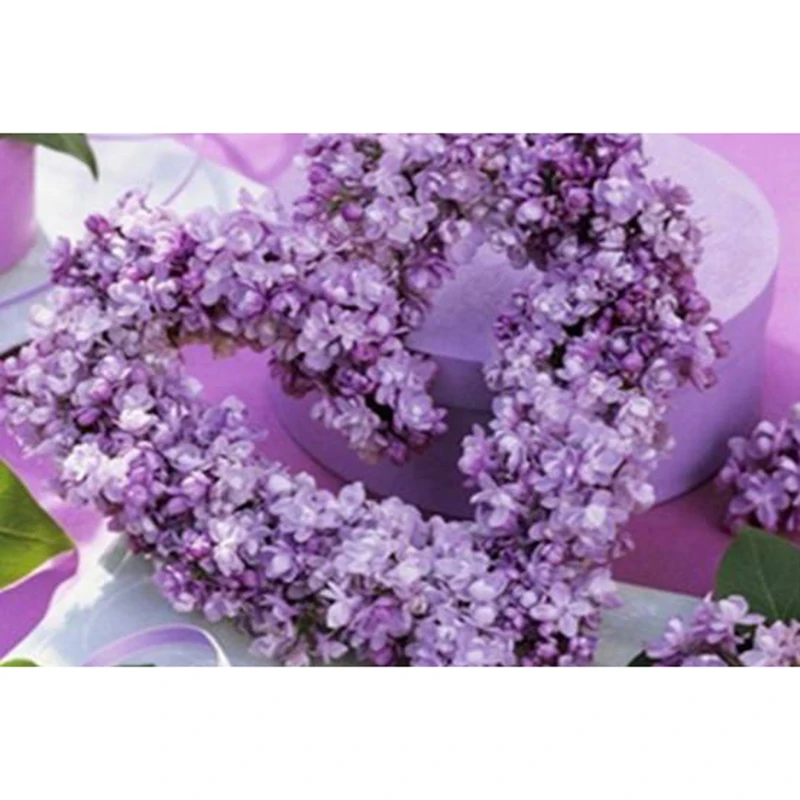 lavendel6-3
