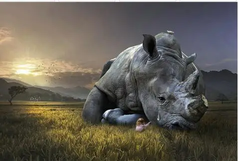 5D Diy Diamond painting cross stitch arts Embroidery rhinoceros scenery Full square mosaic Rhinestone Crafts needlework | Дом и сад