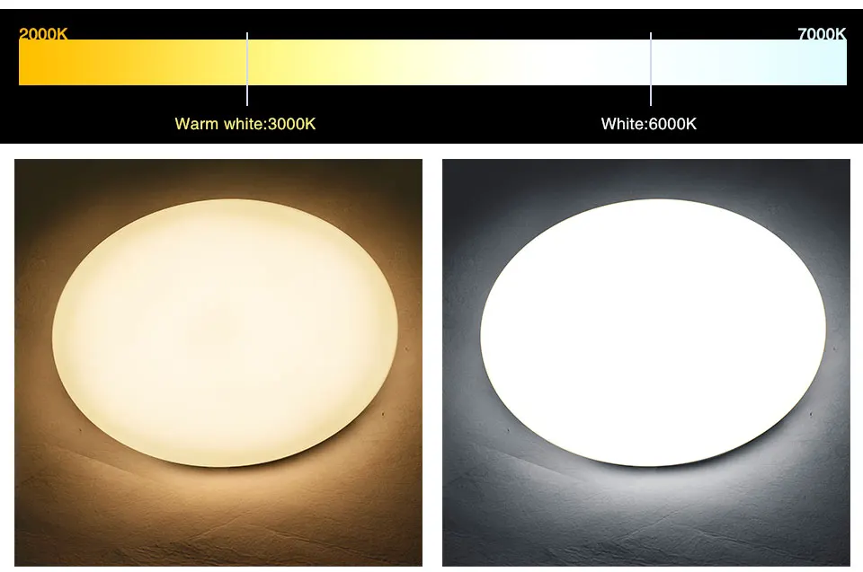 LED Ceiling light (12)