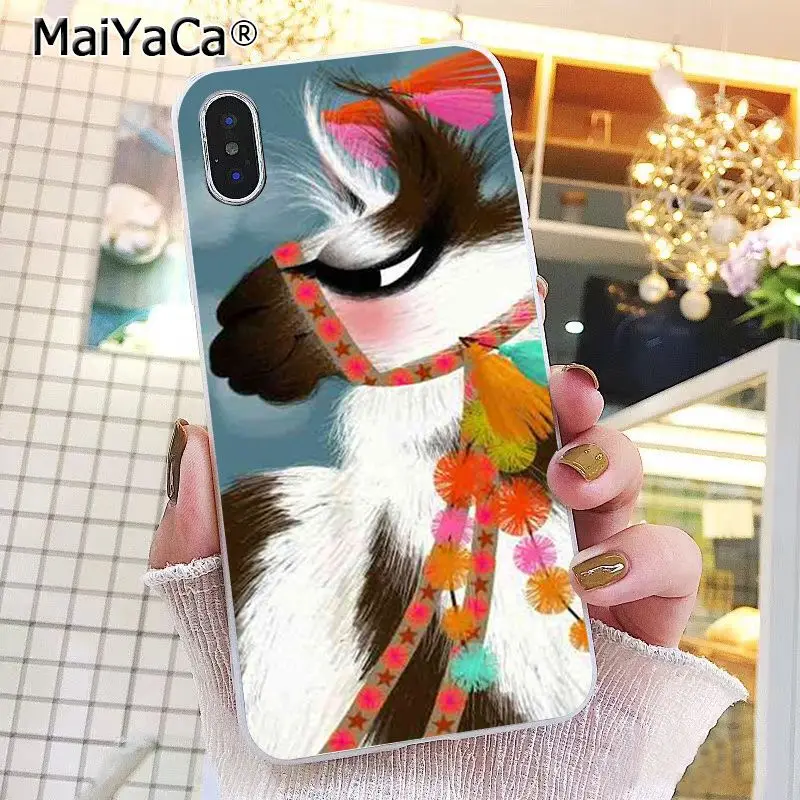 Lama Llama Alpacas Animal