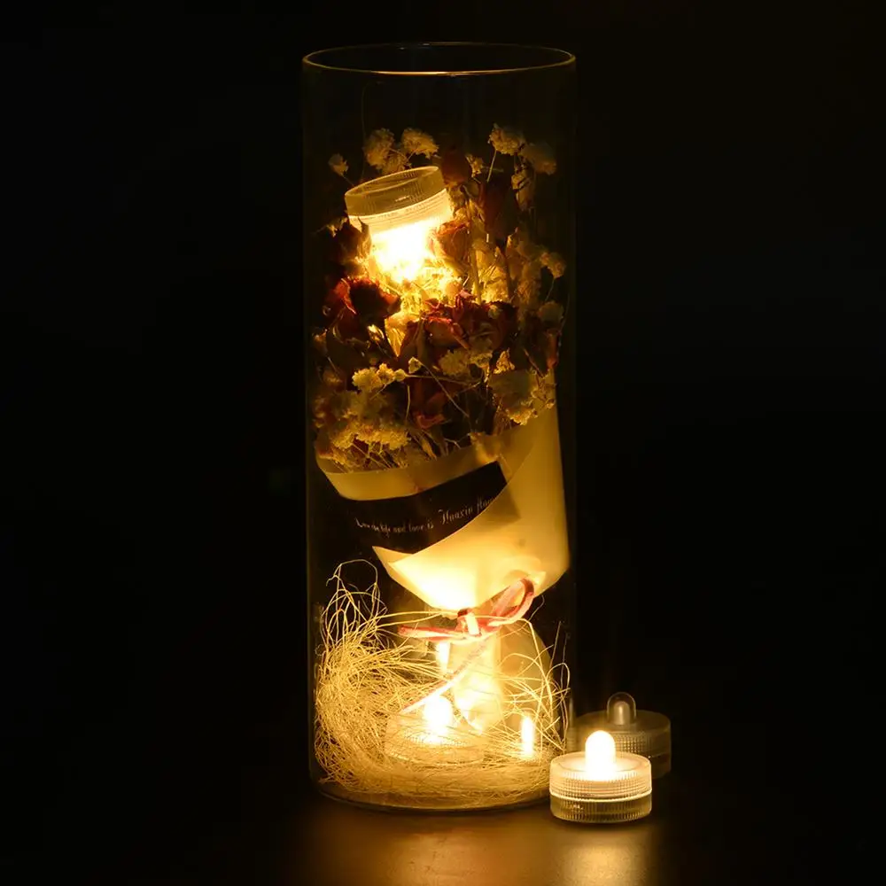 Warm White LED Submersible Light-1