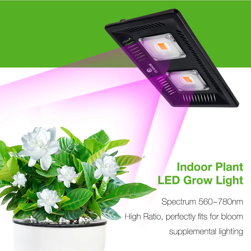 COB Led Grow Light Full Spectrum 100W 200W Waterproof IP67 for Vegetable Flower Indoor Hydroponic Greenhouse Plant Lighting Lamp