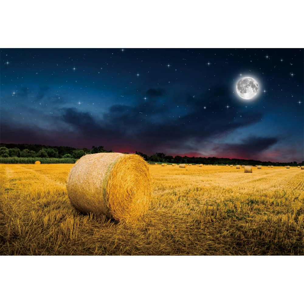 Yeele Rural Farmland Filed Night Sky Hay Bale Country Scenery Photography Backgrounds Photographic Backdrops For Photo Studio Yeele Rural Farmland Filed Night Sky Hay Bale Country Scenery Photography Backgrounds Photographic Backdrops For Photo Studio