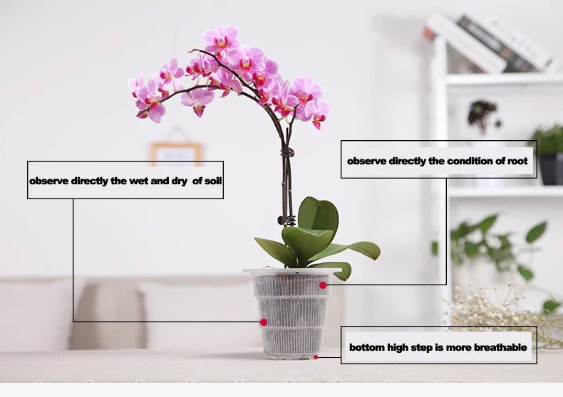 Meshpot 4 дюйма пластиковый прозрачный горшок с орхидеей с отверстиями, цветочный горшок плантатор для орхидеи контейнер для предотвращения гниения