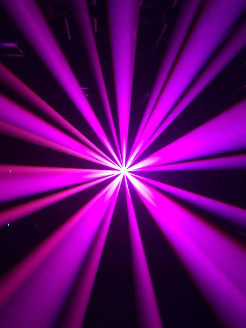 624858149812454919