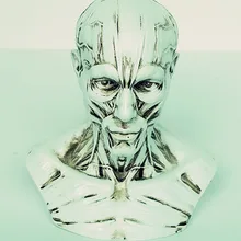 1:3 скелет человека, анатомический модель скелета для продажи Череп одонтология голова мышечная кость медицинский артист рисунок медицинская одежда