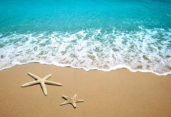 

Starfish Photo backgrounds summer Fotografia Sea beach photography backdrops for photo studio accessories photocall lv-623