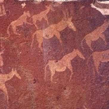Pictograph  Engravings from Stone Age Culture  Twyfelfonstein Region  Namibia Print by Art Wolfe (24 x 15)