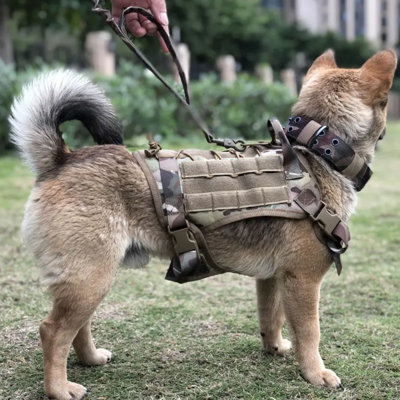 Большой яркий Тактический Жилет MOLLE D4 для собак с 3 сумками защитная одежда и