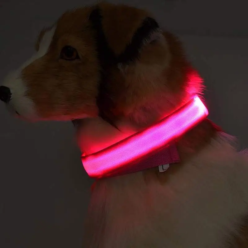 LED Dog Collar Glowing Pet Collar Night Safety LED Light Up Adjustable