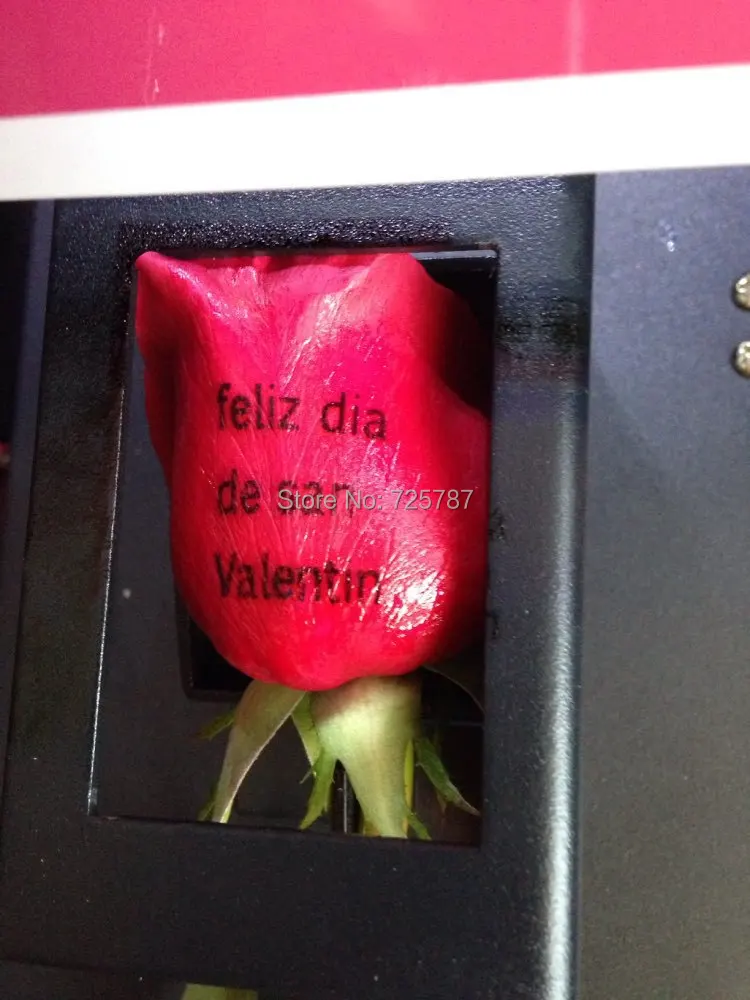 UT8FaQjXeJcXXagOFbXA