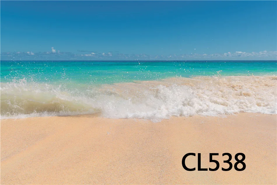 CL538