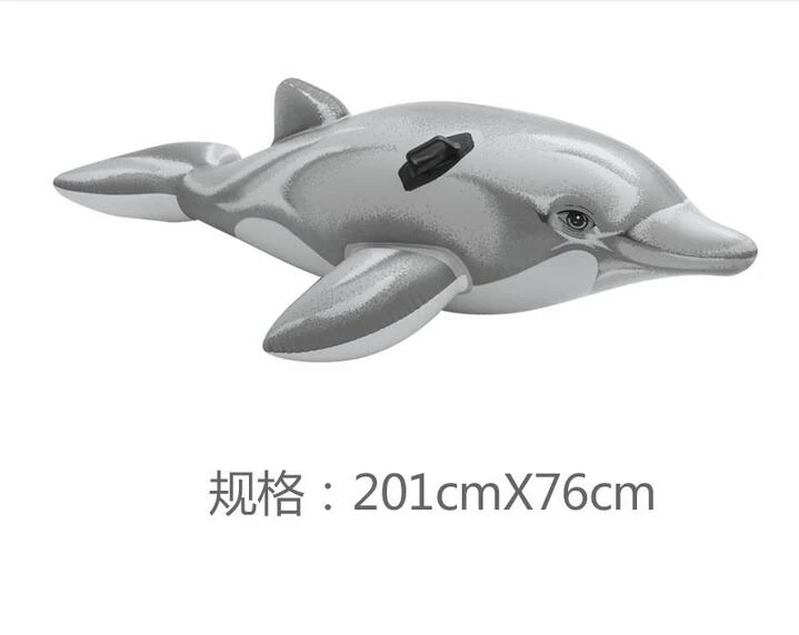 dolphin floatie