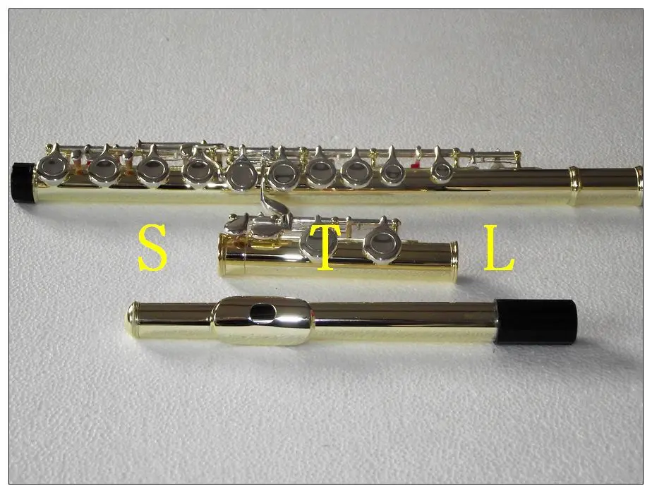 

New 16 closed hole flute C key Gold lacquer Body with Silver plate Keys