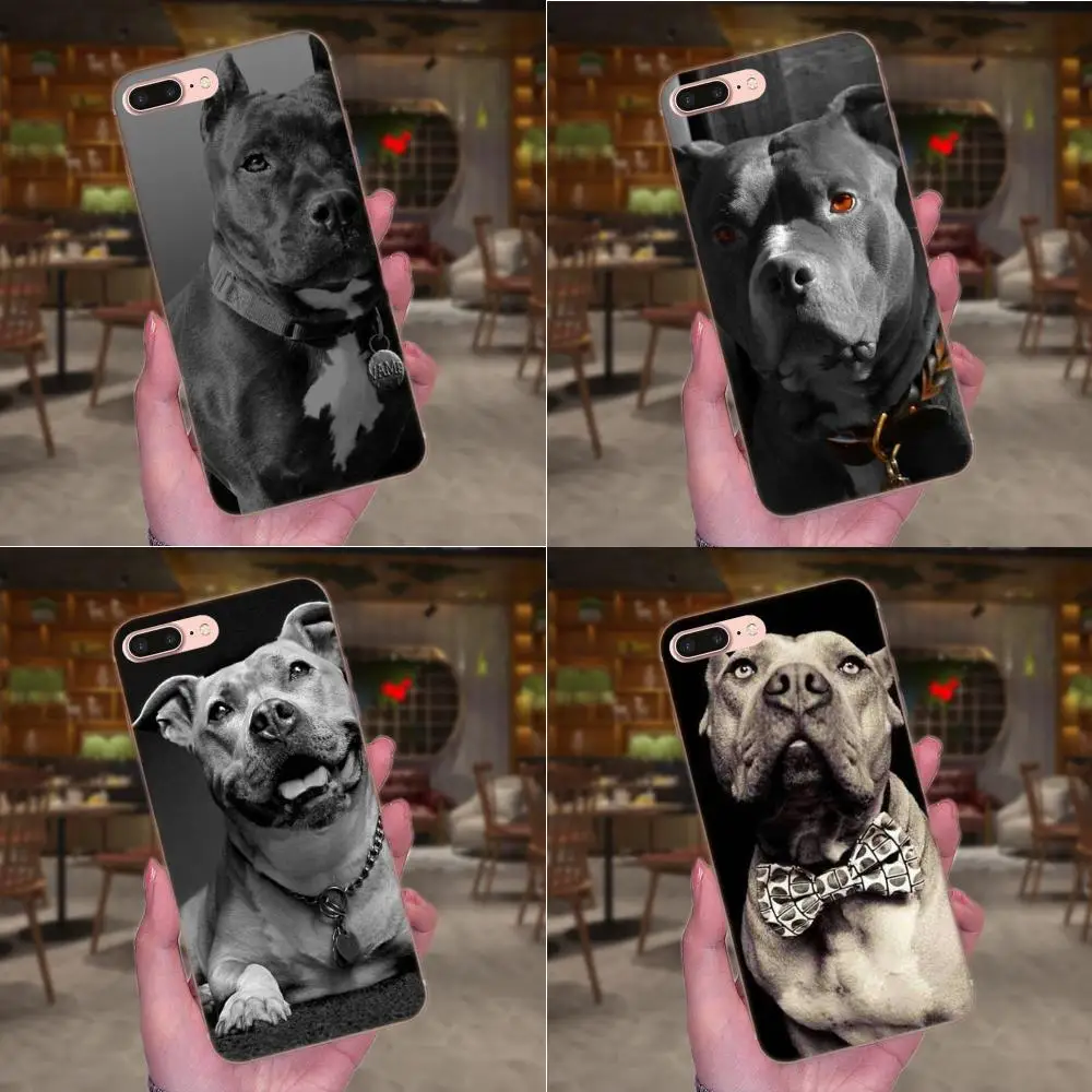 

TPU Cover For Huawei Honor 4C 5A 5C 5X 6 6C 6A 6X 7 7X 8 9 V8 V10 Y3II Y5II Y6II G8 P7 Play Lite Pit Bull Dog Pitbulls