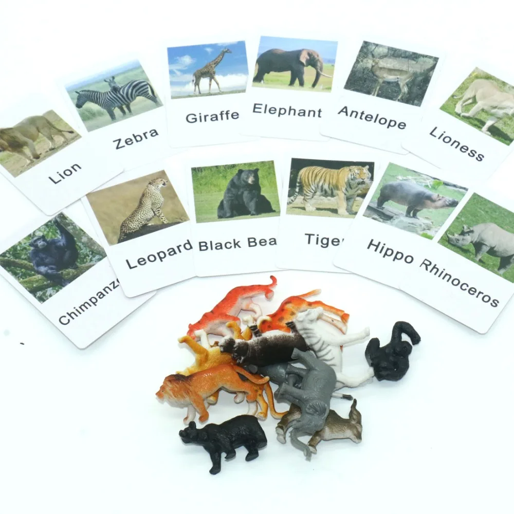 

PVC Montessori Cards Animal Language Durable Material Cards Language Early Learning Educational Toys For Children M1664H