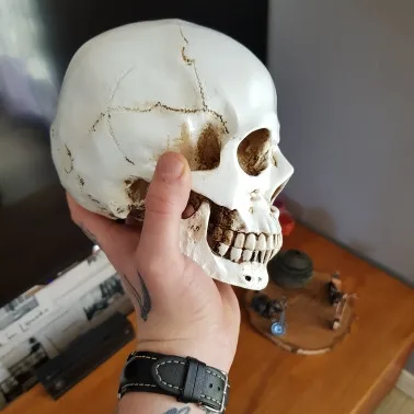 Смола человеческая голова Реплика медицинская модель Lifesize 1:1 Хэллоуин украшение дома высокое качество декоративное ремесло череп