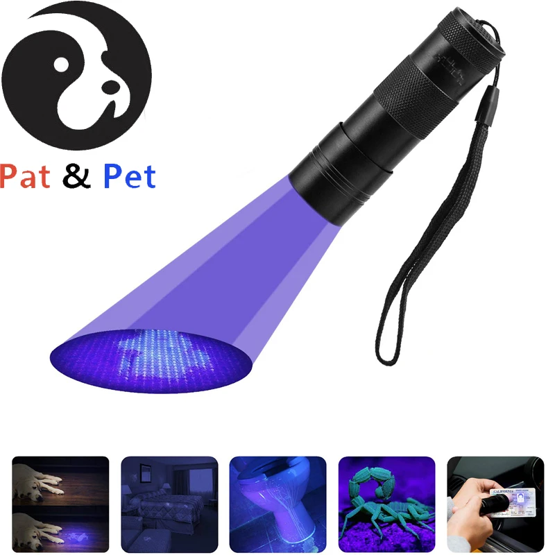 Does Dog Urine Show Up Under Black Light