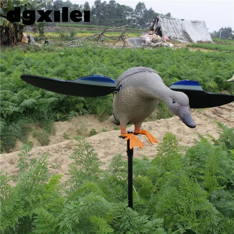 Duck Hunting (2)
