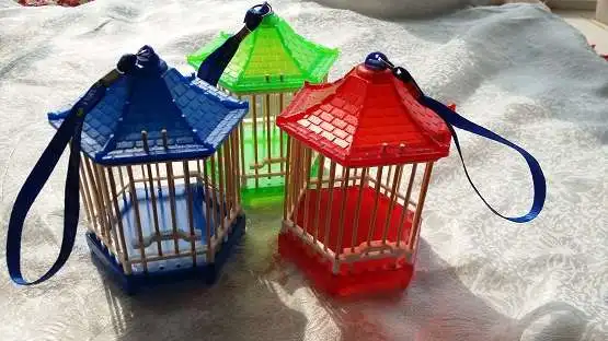 الحشرات جندب تغذية قفص الكريكيت صغيرة بسيطة مربع منزل الأطفال أطفال هدية لعبة استكشاف القدرة تطوير للجنسين